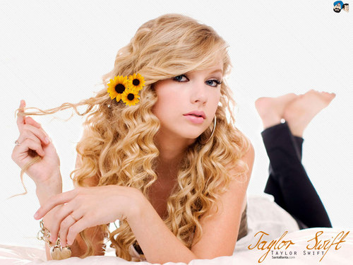 Hi, i'm a massive Swiftie. I tweet lyrics from Taylor Swift songs, Please follow me I follow back :)