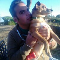 Manuel (@manuelrinan) 's Twitter Profile