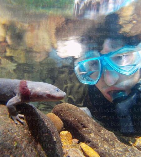 JeffreyBasinger's profile picture. Visual journalist.