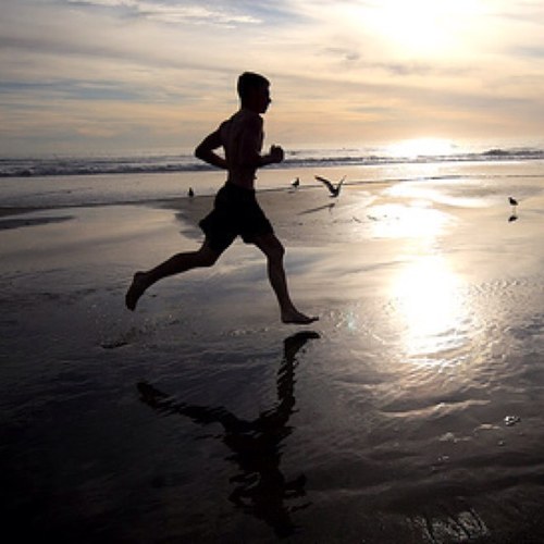 Just tweetin' the daily thoughts of runners.