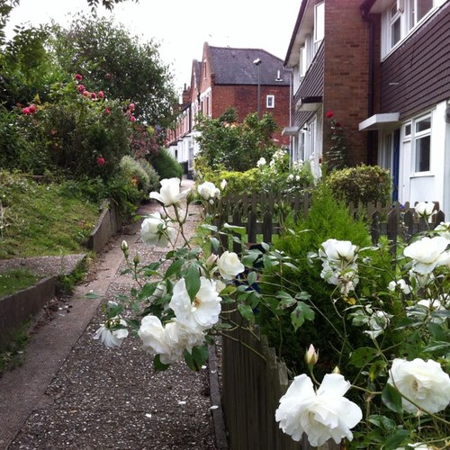 Celebrating North London's least well known urban village - as old as Highgate and with great big open skies