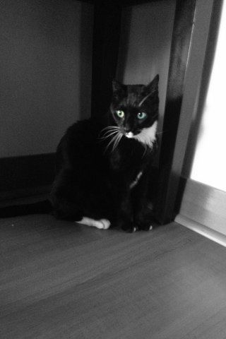 amruiz73's profile picture. Economista, mamá y amante del Marketing y de las Telco. Ambientalista, defensora de los animales y sobre todo Venezolana, viviendo en BCN