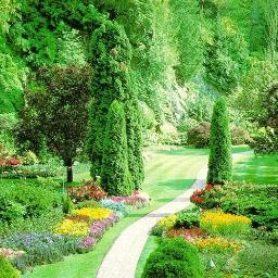 Jardineria caceres.