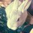 dogedevlin's profile image