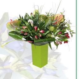 De nieuwe manier om bloemen te presenteren.