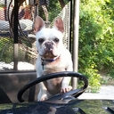 Amanda Biskup - @BiskupMandi - Twitter