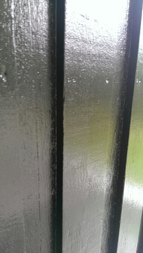 blame_the's profile picture. 