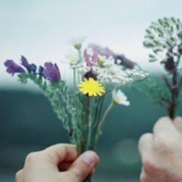 ZZzz15654534's profile picture. مقبله على حياه جديده