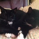 Tracy Noble - @aunti_tracy - Twitter