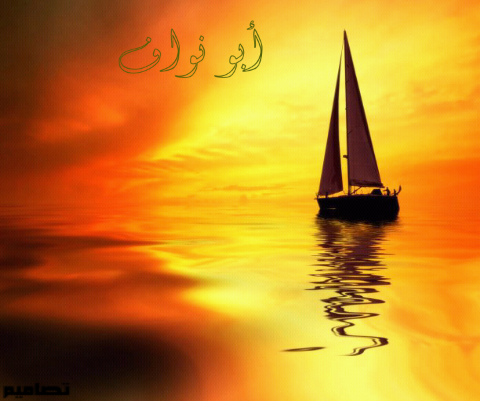 Er5556677's profile picture. 