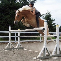 ChesnaKlimek's profile picture. 