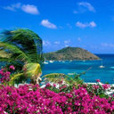 Fozia mohammed - @Foziamohammed1 - Twitter