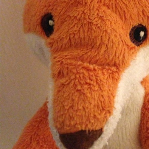 twobabyfoxes's profile picture. no dairy. no egg. no peanut. no nuts. no sesame. no thanks. #allergy