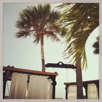 Erica (@hefner_erica) 's Twitter Profile