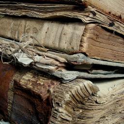 EntreLineas_2's profile picture. 