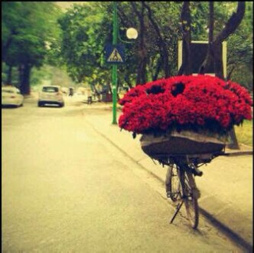 واللي يدور :/ ف جنابي عذااريب ''       
 ( طويقق رااسي ) والههواء ماايهزهةة .....#