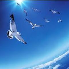 ASK4Success's profile picture. ASK?
A = Attitude
S = Skills
K = Knowledge
(Attitude Improvement, Knowledge Management, Skills Development)