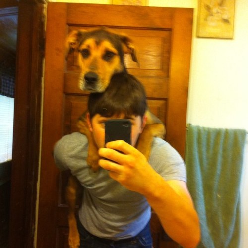 BenScalise11's profile picture. 