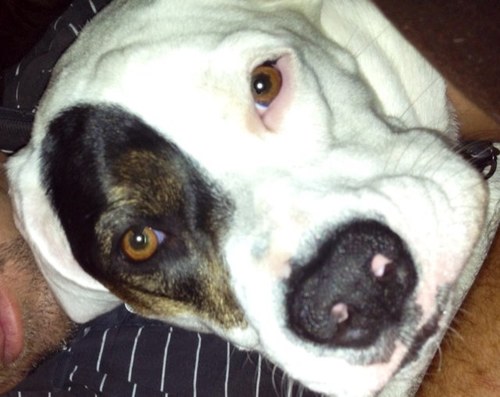 Roxy6811's profile picture. 