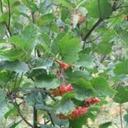 hector kessler - @KesslerHector - Twitter