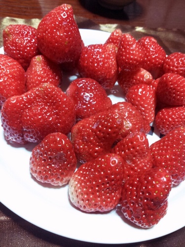 🐥⛰️⌛🍒💎
交換、ハンドメイド
