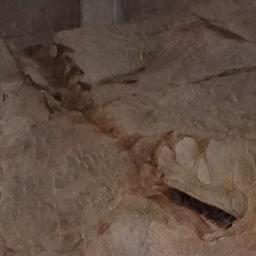 KJZkjzKJZ's profile picture. 