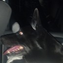 Jesse Wheatley De Fo - @jrwheat666 - Twitter