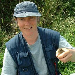 The only worthwhile tweet comes from a bird