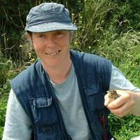Unimportant (@rsetchfield) Twitter profile photo