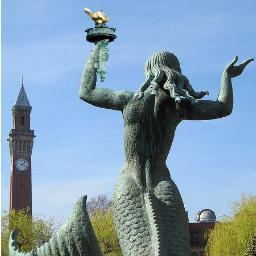 BhamLibertarian's profile picture. 