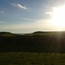 Roisin O'Toole (@weeroisotoole) Twitter profile photo