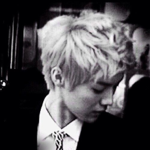 EXO-M 鹿晗 (ro) bot