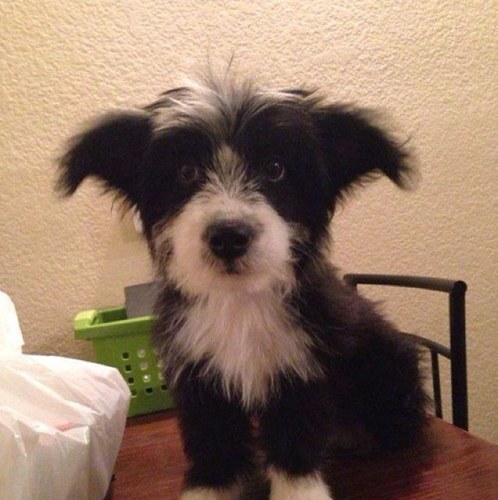 louis3vuitton's profile picture. Kyoto the heart of Japan and a city with over a millennium of history. The best way to discover the “real Japan” is to include Kyoto on your itinerary.