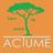 actume's profile image