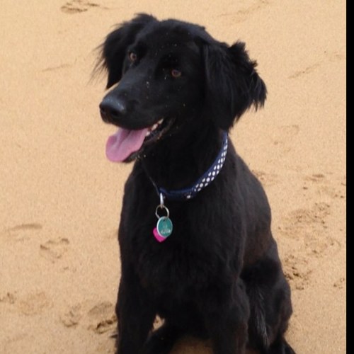 lornapar's profile picture. 