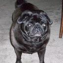 Michelle Markstrom - @mamarkstrom - Twitter