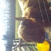 karin McColgan (@karinmcc79) Twitter profile photo