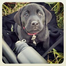 amytietjens's profile picture. 