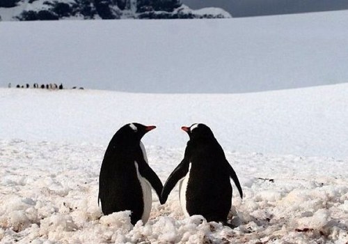 FontAylen's profile picture. 