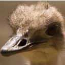 Sean Comber - @seanjcomber - Twitter