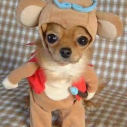 I didnt choose the thug life..