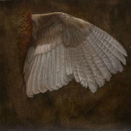 tiabez's profile picture. I am on here to write. I love writing. Please dont hit on me. I dont like you that way and never will =D