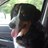 muells129's profile image