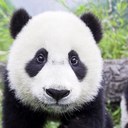 Ian Olson - @IanOlson7 - Twitter