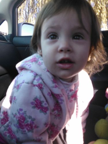 nadicastellano's profile picture. Traductora Literario, Técnico-Científico y Publico de Inglés.