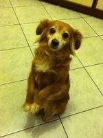 payscalex9zCord's profile picture. im so happy that i got food