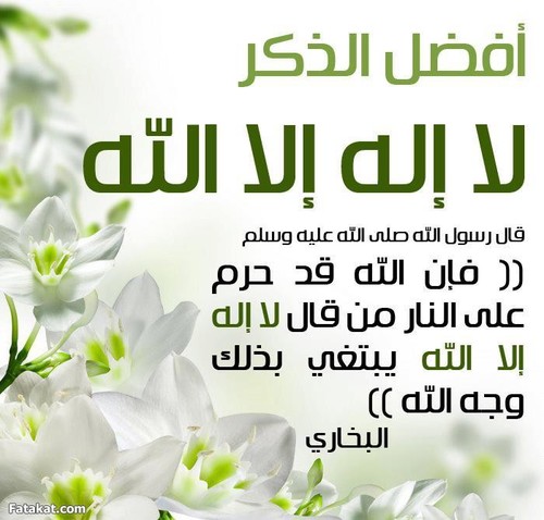 ‏‏‏‏(وذكر فآن الذكرى تنفع المؤمنين) حسآب للتذكير ونشر الآدعية المأثورة ف يآرب آغفر لنآ ذنوبنآ سآعدونآ في نشر هذآ الحسآب لعل الله ينفعنآ به♡