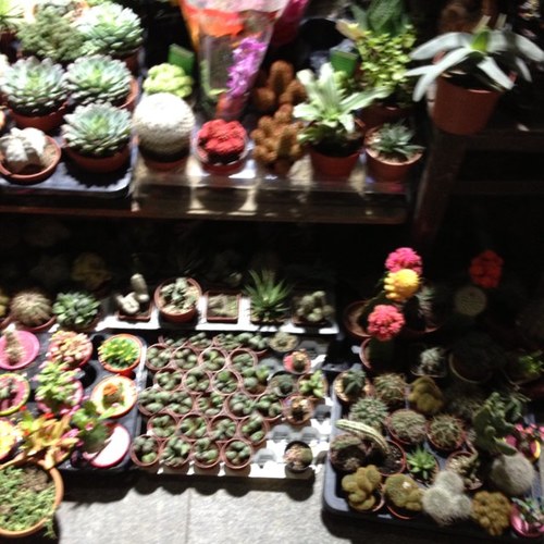 oxygen866's profile picture. 