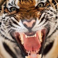 Leichhardt (@leichhardt12) 's Twitter Profile