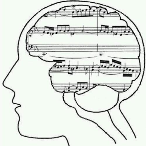 Lover of all things music
